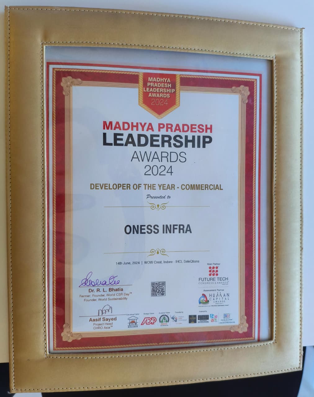 Developer of the Year